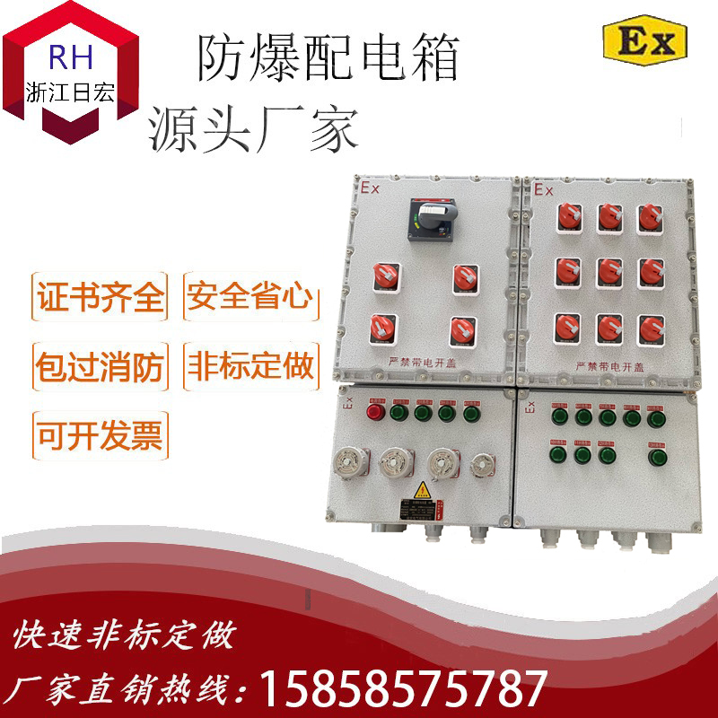 BXM(D)-防爆配电装置（IIBT6 壁挂式 带防爆插销）