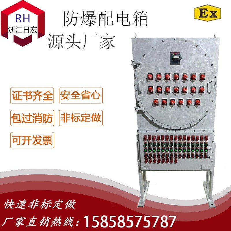 BXM(D)-防爆配电装置（IICT6 立式式）