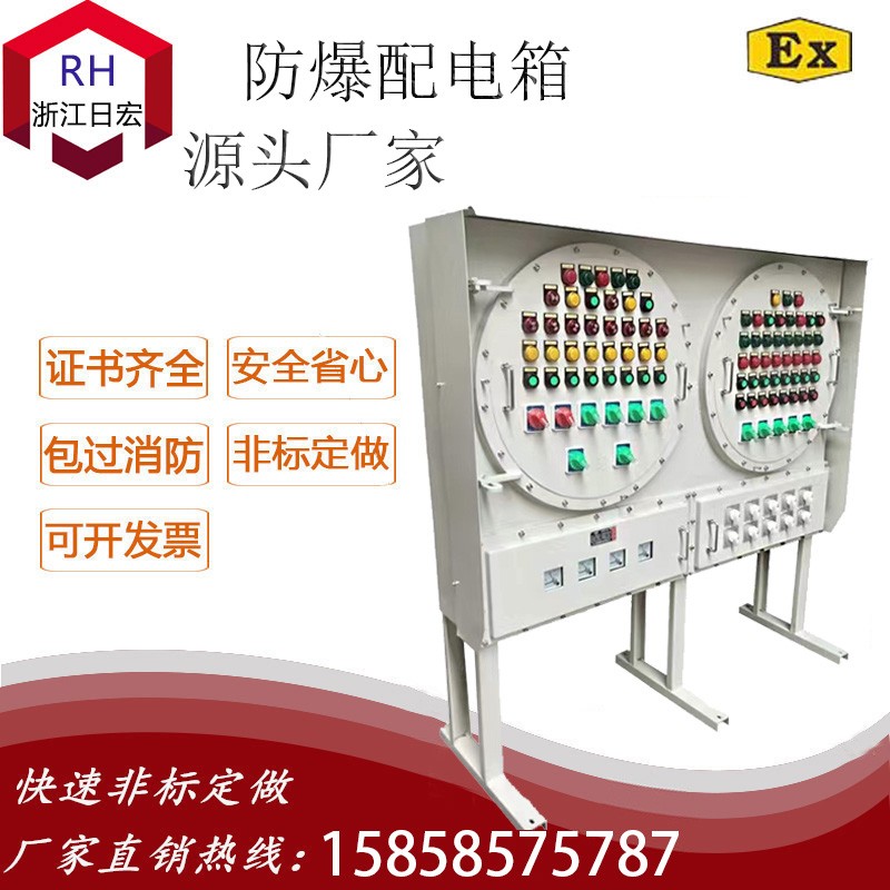 BXM(D)-防爆配电装置（IICT6 立式）